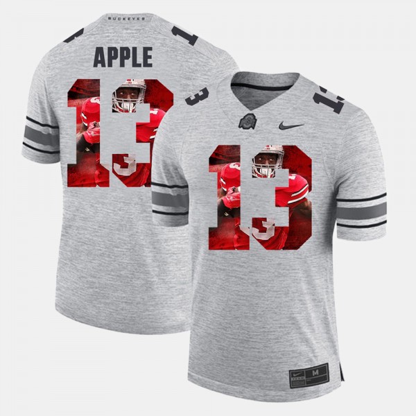 Ohio State Buckeyes Eli Apple Men's #13 Gray Pictorial Gridiron Fashion College Football Jersey 2404XMLU2